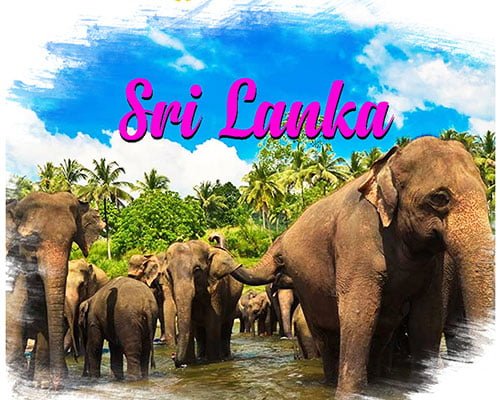 Sri Lanka...